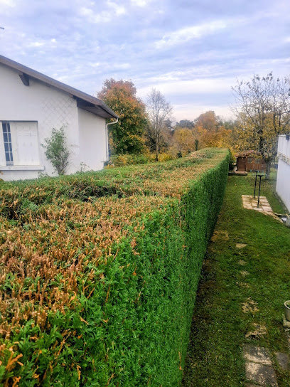 David Bechet Entretien De Jardins Et Espaces Verts, Paysagiste à Lantenay