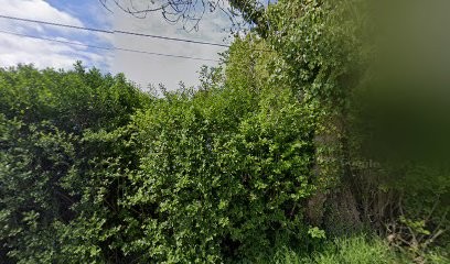 Liébart Bernard, Paysagiste à Frelinghien