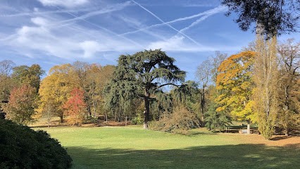 Les Jardins de Guillaume, Paysagiste à Fontainebleau
