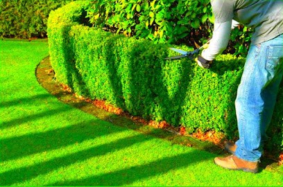 Green Bubble | Landscape Gardener in Lyon, Paysagiste à Lyon 05