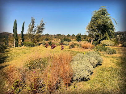 Paysages Vivants Paysagiste à Perpignan