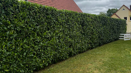 Paulin Paysages Paysagiste à Duntzenheim