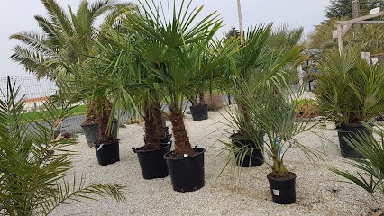 Arborescence, Paysagiste aux Magnils-Reigniers
