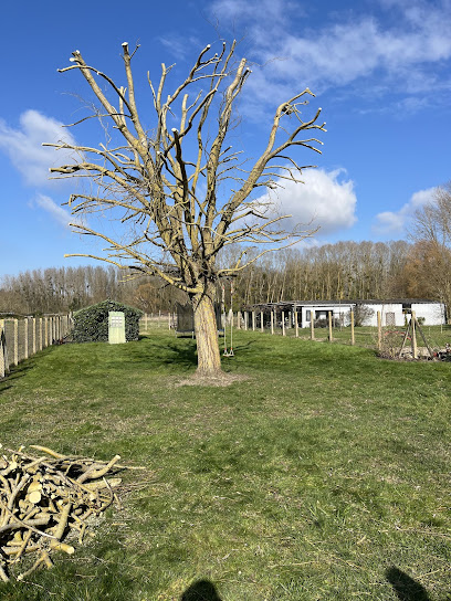 Entreprise Dubois Bryan Paysagiste à Olivet