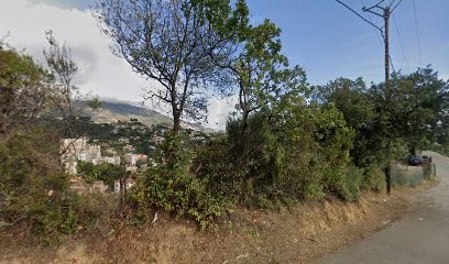 Laurens jardins, Paysagiste à Menton