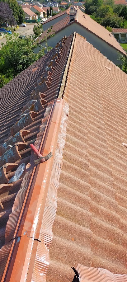 N.B.J., Paysagiste à Moyenvic