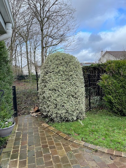 W.T. Élagage, Paysagiste à Plaisir