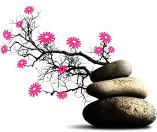 Les Jardins En Cascades, Paysagiste à Dieulefit