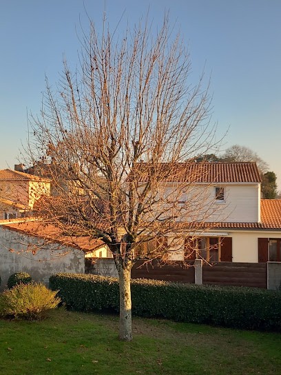 O' jardin des couleurs, Paysagiste à Rezé