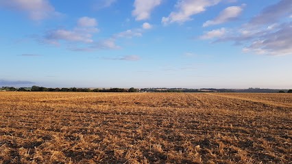 M.D Paysage, Paysagiste à Pommiers