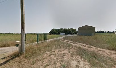 ALLO JARDIN 34, Paysagiste à Mauguio