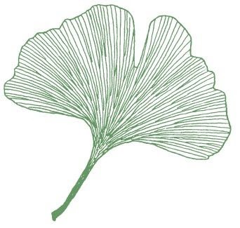 Mith paysages, Paysagiste à Mécleuves