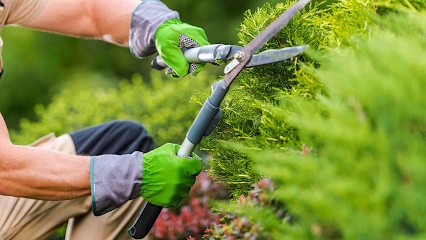 1.2.3 Paysage, Paysagiste à Noisy-le-Grand