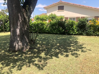 JEVO Jardins Espaces Verts Occitans, Paysagiste à Eaunes