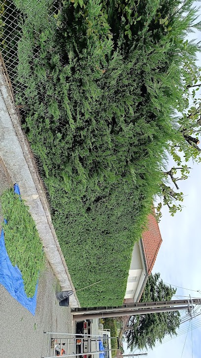 LEMOINE Espaces Verts - PAYSAGISTE Dole, Paysagiste à Foucherans