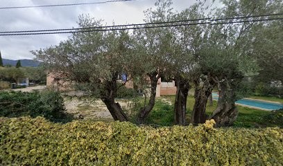 AU JARDIN PROVENCAL, Paysagiste au Beausset