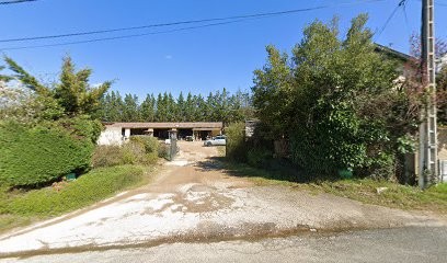Thevenet Parcs et Jardins, Paysagiste à Limonest