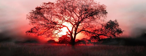 SO'CREA, Paysagiste à Vinay