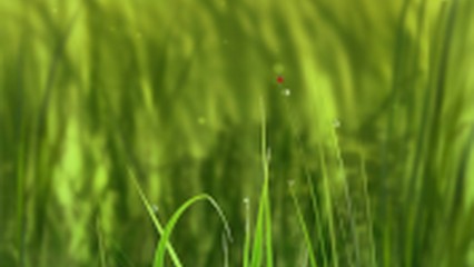 Cap'Paysages, Paysagiste à La Brède