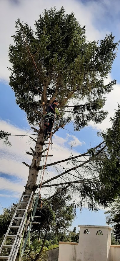 DVA Services - Élagueur - Paysagiste - Drôme - Ardèche, Paysagiste à Étoile-sur-Rhône