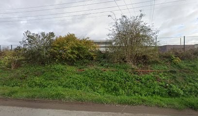 Les Jardins De La Rianderie, Paysagiste à Hem