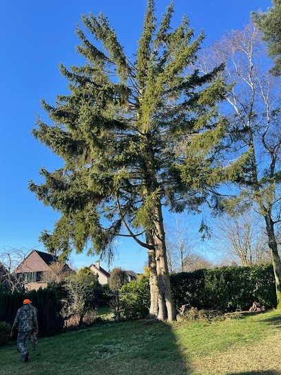 Paysagiste élagage tonte taille Jean-Pierre Fortin, Paysagiste à Villevaudé