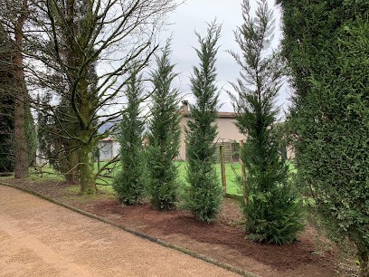 Sud Paysage - Entretien Espaces Verts, Paysagiste à Rouairoux