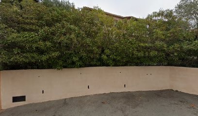 NATURE CONCEPT ET PAYSAGES, Paysagiste à Puget-sur-Argens