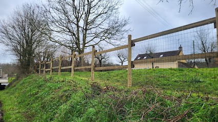 Bosché Paysages, Paysagiste à Saint-Pierre-des-Ormes