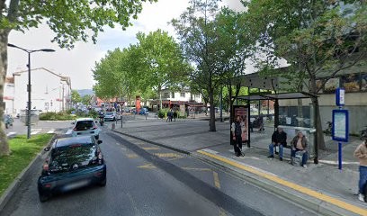 Culture in Paysage, Paysagiste à Mouans-Sartoux