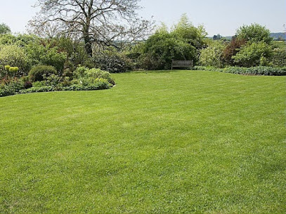 Optimum Espaces Verts, Paysagiste, Élagage, Entretien Et Création De Jardin, Paysagiste à Aussonne