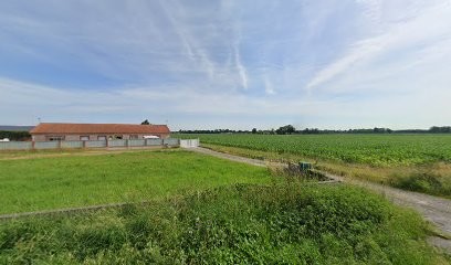 artisan plaquiste, Paysagiste à Vic-en-Bigorre