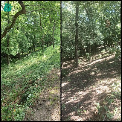 Jérémy Beyne - Paysagiste à Bergerac & Le Fleix - Dordogne, Paysagiste à Saint-Avit-Saint-Nazaire