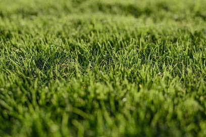 M. Tyson Espaces verts, Paysagiste à Plaisir