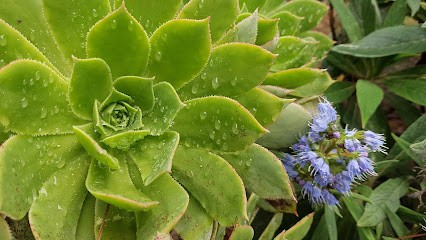 GRANDEUR NATURE Art & Paysage En Biodynamie, Paysagiste à Génissac