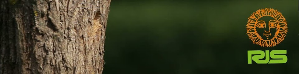 Rhône Jardin Service SA, Paysagiste à Saint-Priest