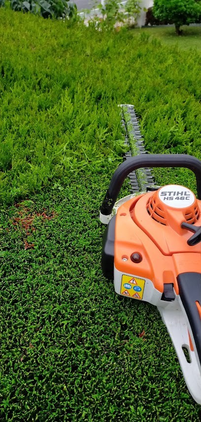 Au Clair Jardin Auclair Nicolas, Paysagiste à Trouy