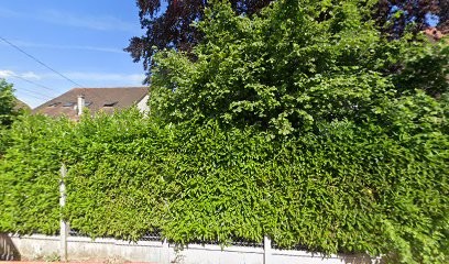 CD Paysage, Paysagiste à Roissy-en-Brie