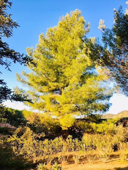 JULIEN Services, Paysagiste à Tourves