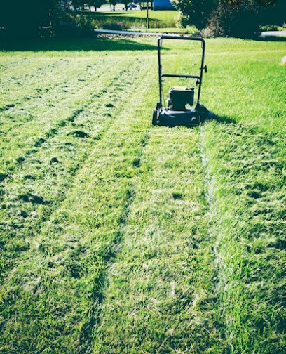 Entreprise Poubile Espace Vert Elageur Grimpeur, Paysagiste à Tarbes