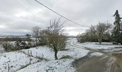 Sarl Rouquette, Paysagiste à Lamillarié