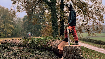 Jardin D'en Haut, Paysagiste à Châtel-de-Neuvre