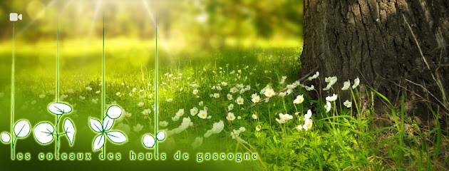 Les Coteaux Des Hauts De Gascogne : Paysagiste Landes, Paysagiste à Saint-Loubouer