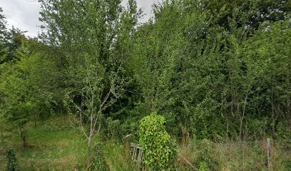 L Occitan Services, Paysagiste à Saint-Jory-de-Chalais