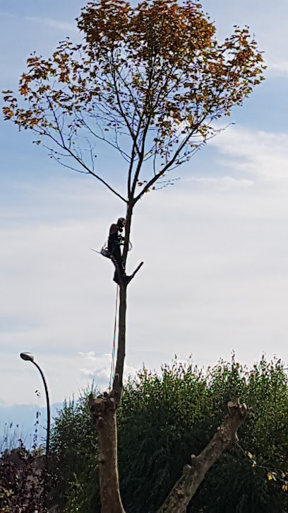 André Guilhem et Fils SARL, Paysagiste à Idron