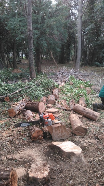 Jardin Forêt de Provence, Paysagiste à Marseille 09