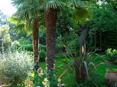 Alexandre Jardins Création de Jardin et Paysagiste, Paysagiste à Lambesc