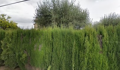 Masbourian Olivier Jean, Paysagiste à La Gaude