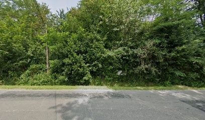 Novaflore - Paysagiste33.net, Paysagiste à Montussan