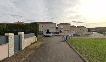 Elagueur - Paysagiste - Guillaume Mochon, Paysagiste à Feyzin